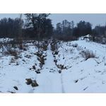 Zdjęcia użytkowników Realme 16 Pro+ 5G