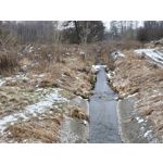 Zdjęcia użytkowników Realme 16 Pro+ 5G