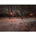 Zdjęcia użytkowników Realme 16 Pro+ 5G