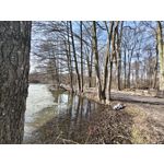 Zdjęcia użytkowników Realme 16 Pro+ 5G