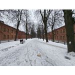 Zdjęcia użytkowników Realme 16 Pro+ 5G