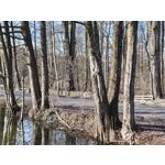 Zdjęcia użytkowników Realme 16 Pro+ 5G