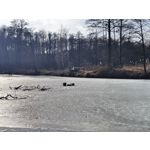 Zdjęcia użytkowników Realme 16 Pro+ 5G