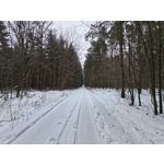 Zdjęcia użytkowników Realme 16 Pro+ 5G