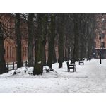 Zdjęcia użytkowników Realme 16 Pro+ 5G