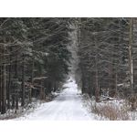 Zdjęcia użytkowników Realme 16 Pro+ 5G