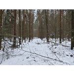 Zdjęcia użytkowników Realme 16 Pro+ 5G