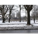 Zdjęcia użytkowników Realme 16 Pro+ 5G