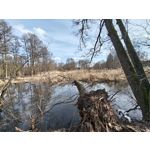 Zdjęcia użytkowników Realme 16 Pro+ 5G