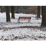 Zdjęcia użytkowników Realme 16 Pro+ 5G