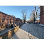 Zdjęcia użytkowników Realme 16 Pro+ 5G