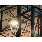 Zdjęcia użytkowników Realme 16 Pro+ 5G