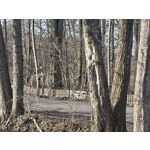 Zdjęcia użytkowników Realme 16 Pro+ 5G