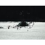 Zdjęcia użytkowników Realme 16 Pro+ 5G