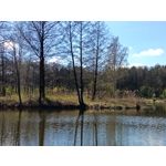 Zdjęcia użytkowników Realme 16