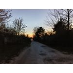 Zdjęcia użytkowników Realme 16