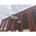 Zdjęcia użytkowników Realme 16