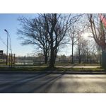 Zdjęcia użytkowników Realme 16