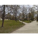 Zdjęcia użytkowników Realme 16