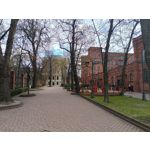 Zdjęcia użytkowników Realme 16