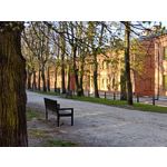 Zdjęcia użytkowników Realme 16