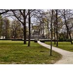 Zdjęcia użytkowników Realme 16