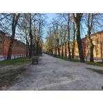 Zdjęcia użytkowników Realme 16