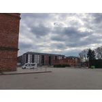 Zdjęcia użytkowników Realme 16