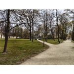 Zdjęcia użytkowników Realme 16
