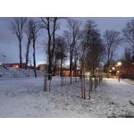 Zdjęcia użytkowników Realme C75