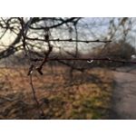 Zdjęcia użytkowników Realme C75