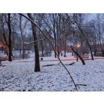 Zdjęcia użytkowników Realme C75