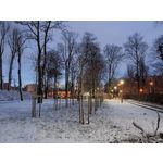 Zdjęcia użytkowników Realme C75