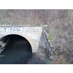 Zdjęcia użytkowników Realme C75