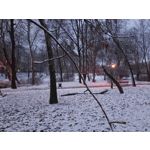 Zdjęcia użytkowników Realme C75