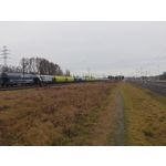 Zdjęcia użytkowników Realme C75
