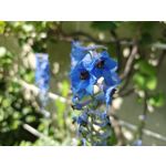 Zdjęcia użytkowników Realme GT 6