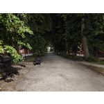 Zdjęcia użytkowników Realme GT 6