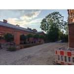 Zdjęcia użytkowników Realme GT 6