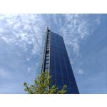 Zdjęcia użytkowników Realme GT 6