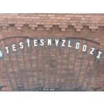 Zdjęcia użytkowników Realme GT 7 Global