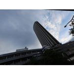 Zdjęcia użytkowników Realme GT 7 Global