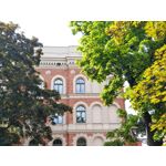 Zdjęcia użytkowników Realme GT 7 Global
