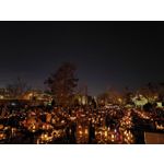 Zdjęcia użytkowników Realme GT7 Pro