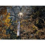 Zdjęcia użytkowników Realme GT7 Pro