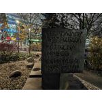 Zdjęcia użytkowników Realme GT7 Pro