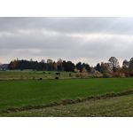 Zdjęcia użytkowników Realme GT7 Pro