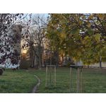 Zdjęcia użytkowników Realme GT7 Pro