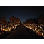 Zdjęcia użytkowników Realme GT7 Pro