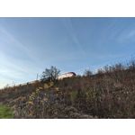 Zdjęcia użytkowników Realme GT7 Pro